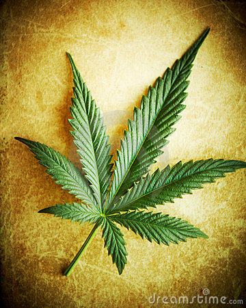 cannabis-leaf-grunge-background-15356075